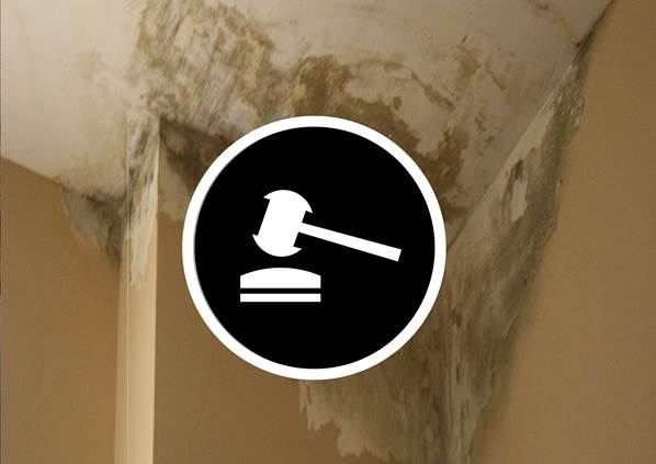 Informe Pericial de humedades